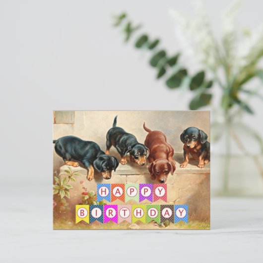Gelukkig Verjaardag, Dachshund-puppy's, Briefkaart (Staand voorkant)