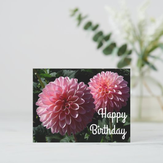 Gelukkig Verjaardag Dahlia Valley Porcupine #1 Ans Briefkaart (Staand voorkant)