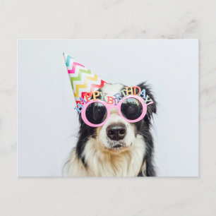 Gelukkig Verjaardag Feestbeest Briefkaart