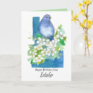 Gelukkig Verjaardag van Idaho Bluebird Syringa Blo Kaart