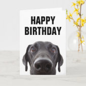Gelukkig Verjaardag | Zwarte Labrador Kaart (Gele Bloem)