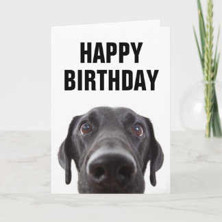 Gelukkig Verjaardag | Zwarte Labrador Kaart