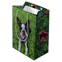 Gelukkige Boston Terrier met Bloemen Fotografie