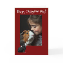 Gelukkige Cavia-tine Dag Cavia Valentijnsdag