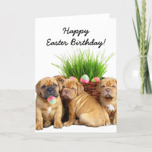 Gelukkige de jongenkaart van Dogue DE Bordeaux van Feestdagen Kaart