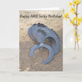 Gelukkige en gelukkige verjaardag: Kaart met Hoefi (Gele Bloem)