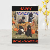 Gelukkige gehuil-o-Ween!  BO en Zonnig - Wenskaart Kaart (Gele Bloem)