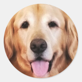 Gelukkige Golden Retriever! Ronde Sticker