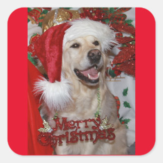 Gelukkige Gouden Retriever bij Kerstmis Vierkante Sticker