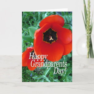 Gelukkige grootouders Dag Oma - Poppy Flowers Kaart
