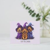 Gelukkige Halloween Golden Retriever Honden Heksen Briefkaart (Staand voorkant)