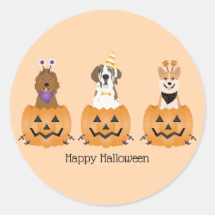 Gelukkige Halloween Honden In Pompoenen Ronde Sticker
