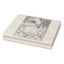 Gelukkige Holle Kikker