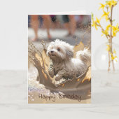 Gelukkige hond in modderplas kaart (Gele Bloem)