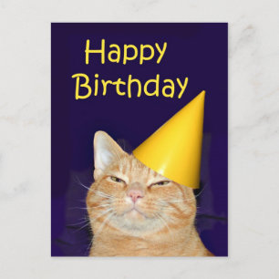 Gelukkige kat Gelukkige verjaardag Briefkaart