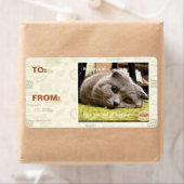 Gelukkige kat, uit gelukkig etiket (Insitu)