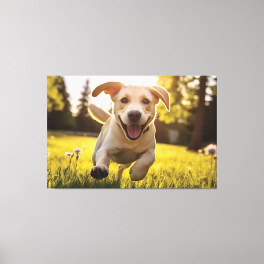 Gelukkige Labrador Puppy Running Canvas Afdruk (Voorkant)