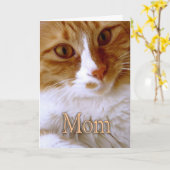 Gelukkige Moederdag - Zoete Kat Kaart (Gele Bloem)