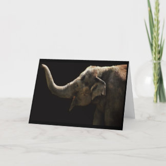 Gelukkige olifant-Lege Kaart