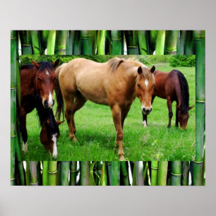 GELUKKIGE PAARDEN POSTER