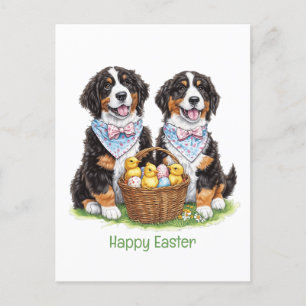 Gelukkige Pasen Berner Berg Honden Briefkaart