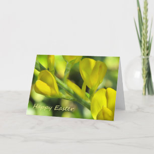 Gelukkige Pasen Feestdagen Kaart