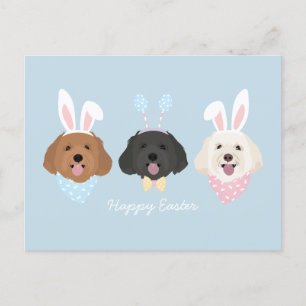 Gelukkige Pasen Maltipoo Honden Briefkaart