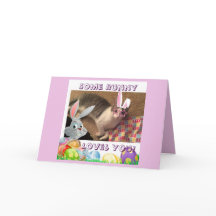 Gelukkige Pasen voor een kattenminnaar