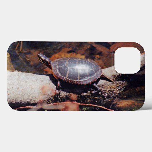 Gelukkige Schildpad Case-Mate iPhone Case (Achterkant (horizontaal))