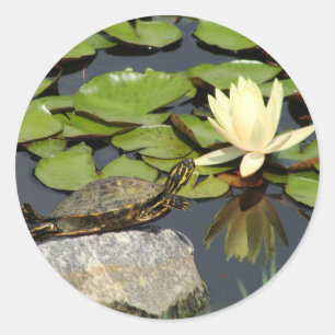Gelukkige schildpad in een Lily Pond Ronde Sticker