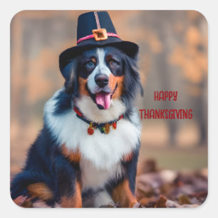 Gelukkige Thanksgiving Berner Berg Hond Pelgrim Vierkante Sticker