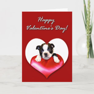 Gelukkige Valentijnsdag Boston Terrier kaart