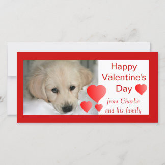 Gelukkige Valentijnsdag Hond Fotokaarten Feestdagenkaart