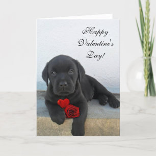 Gelukkige Valentijnsdag Labrador hondenkaart Feestdagen Kaart