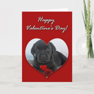 Gelukkige Valentijnsdag Labrador puppykaart Feestdagen Kaart