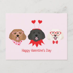 Gelukkige Valentijnsdag Maltipoo Honden Briefkaart