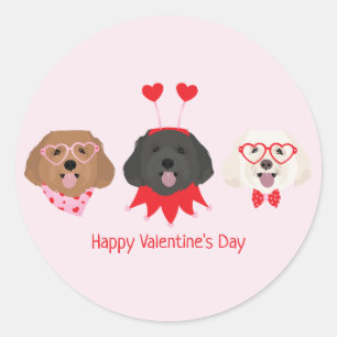 Gelukkige Valentijnsdag Maltipoo Honden Ronde Sticker