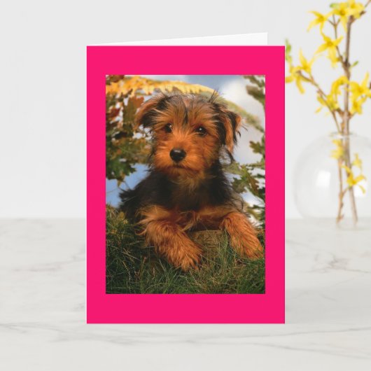 Gelukkige Verjaardag Airedale Terrier Puppy Dog Ka Kaart (Gele Bloem)