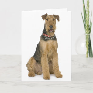 Gelukkige Verjaardag Airedale Terrier Puppy Dog Ka Kaart