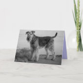 Gelukkige Verjaardag Airedale Terrier Puppy Dog Ka Kaart (Voorkant)