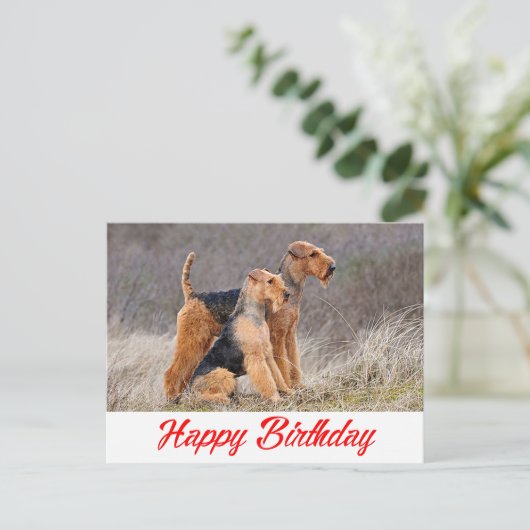 Gelukkige Verjaardag Airedale Terrier Puppy Dog Re Briefkaart (Staand voorkant)