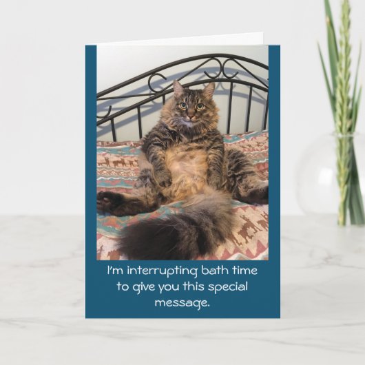 Gelukkige Verjaardag Bad Tijd Kimber Cat Kaart (Voorkant)