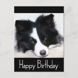 Gelukkige Verjaardag Border Collie Puppy Dog Zwart Briefkaart