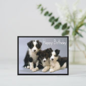Gelukkige Verjaardag Border Collie Puppy Hond Briefkaart (Staand voorkant)