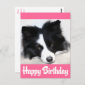 Gelukkige Verjaardag Border Collie Puppy Hond Briefkaart (Voorkant / Achterkant)