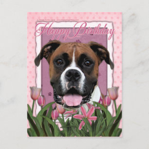 Gelukkige Verjaardag - Boxer - Vindy Briefkaart
