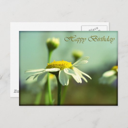 Gelukkige verjaardag briefkaart (Voorkant / Achterkant)