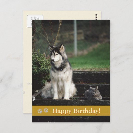 Gelukkige verjaardag! - briefkaart voor honden en (Voorkant / Achterkant)