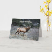 Gelukkige verjaardag, Bull Elk Bugling Kaart (Gele Bloem)