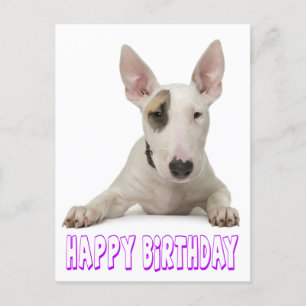 Gelukkige Verjaardag Bull Terrier Puppy Hond Briefkaart